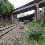 DSC03384 (Copier)