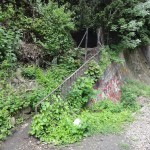 DSC03387 (Copier)
