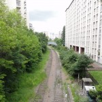 DSC03428 (Copier)