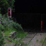 DSC03437 (Copier)