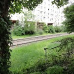 DSC03440 (Copier)