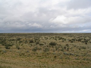 800px-Patagonian_plains_argentina