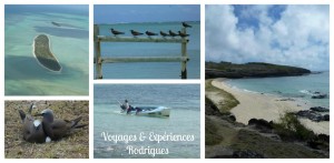 Voyages et Experiences Rodrigues 1 (Copier)
