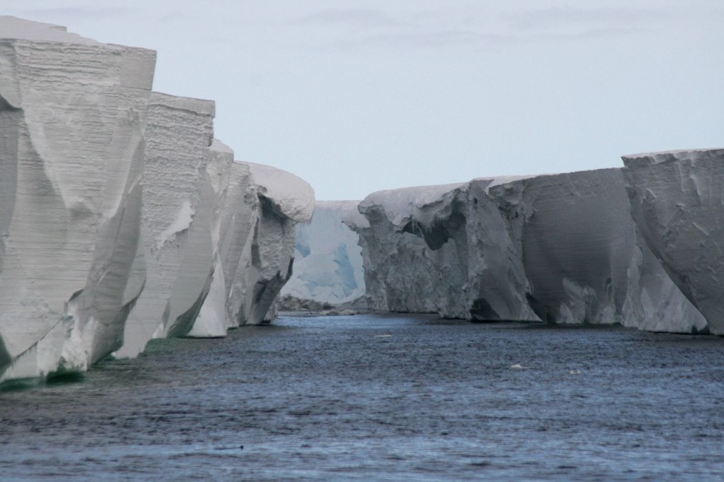 1280px-Ross_Ice-Shelf[1]