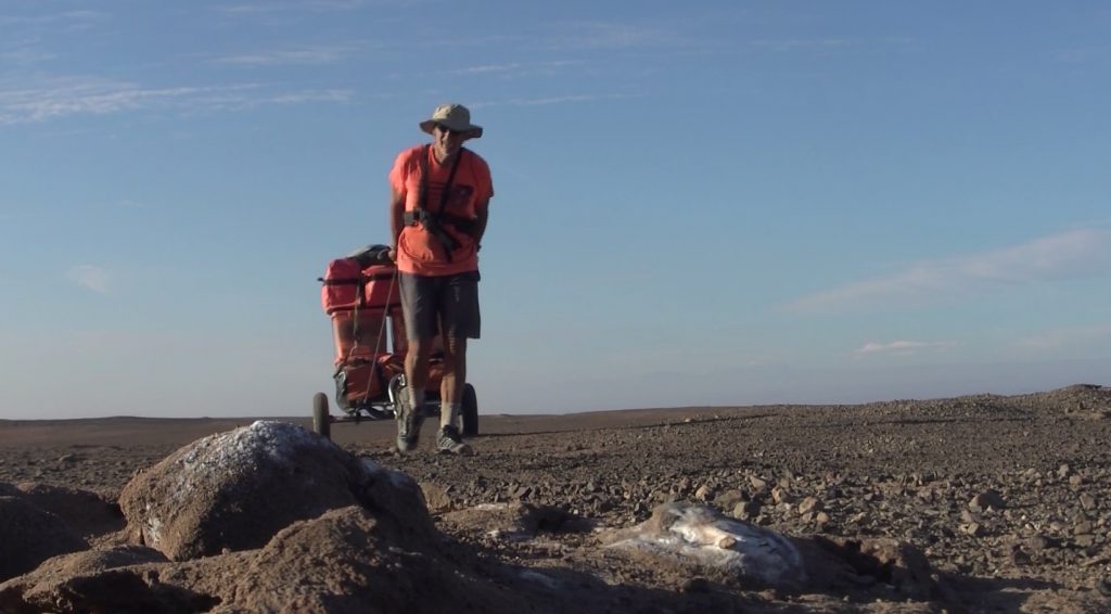 Atacama, Charles Hedrich