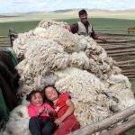Mongolie – Les derniers nomades