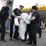 La police arrête un ours polaire au Royaume uni !