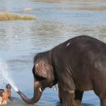 Le rêve indien de Céline, un dispensaire à Bénarès-Varanasi