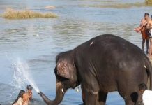 Le rêve indien de Céline, un dispensaire à Bénarès-Varanasi