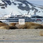 Croisière au pays des glaces