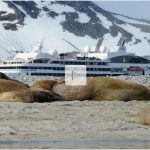 Croisière au pays des glaces