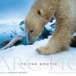 Livre et documentaire « To the Arctic » en 3D IMAX 