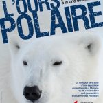 Premier colloque dédié à l’ours polaire à l’institut Océanographique de Paris 