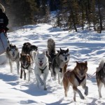 Partez à la découverte des mystères du Grand Nord II