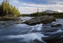 Louer une voiture et s’aventurer en Suède