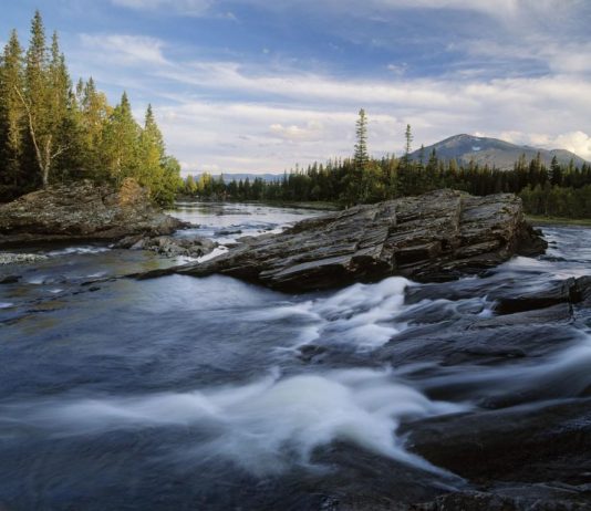 Louer une voiture et s’aventurer en Suède