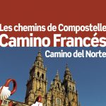 Guide Petit Futé : Chemins de Compostelle – Camino Francés – le chemin des origines