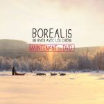 « Boréalis, un hiver avec les chiens » maintenant en DVD