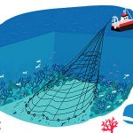 La BD qui fait le Buzz pour sauver les fonds marins mais dit-elle vrai ?