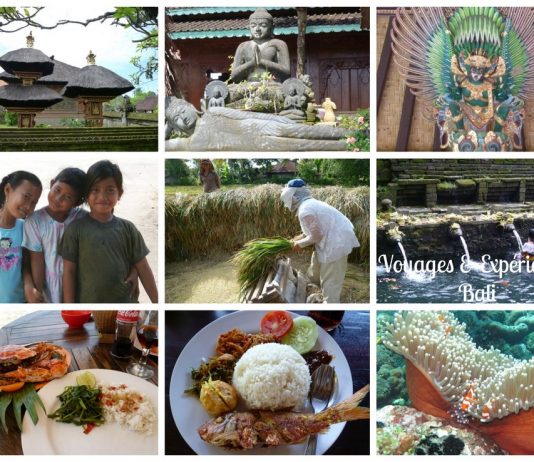 Découvrez Emma, ses saveurs et ses expériences