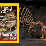 National Geographic n°181, octobre 2014 : Sur la piste du Spinosaure, la nouvelle star !