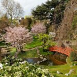 Le Guide du Japon à Paris : Décollage immédiat pour le Japon
