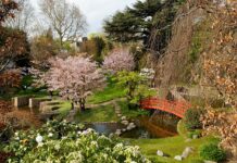 Le Guide du Japon à Paris : Décollage immédiat pour le Japon