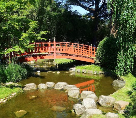 Le Guide du Japon à Paris : Décollage immédiat pour le Japon