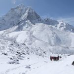 Le palmarès des Ecrans de l’Aventure 2015 :  les meilleurs films-documentaires d’aventure de l’année