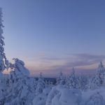 La Laponie, immensité polaire riche et sauvage