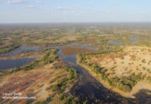 Le français Jerry Swift a traversé l’intégralité du delta de l’Okavango