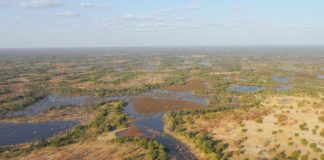 Le français Jerry Swift a traversé l’intégralité du delta de l’Okavango