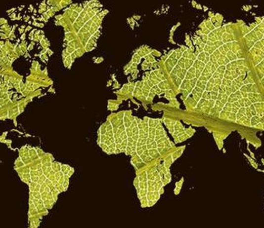 Le Tour du Monde dans son jardin