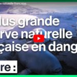 Il faut sauver la plus grande réserve naturelle française