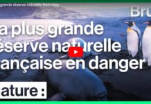 Il faut sauver la plus grande réserve naturelle française