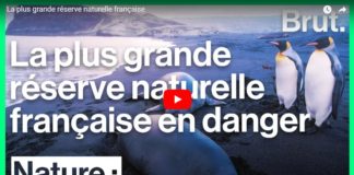 Il faut sauver la plus grande réserve naturelle française