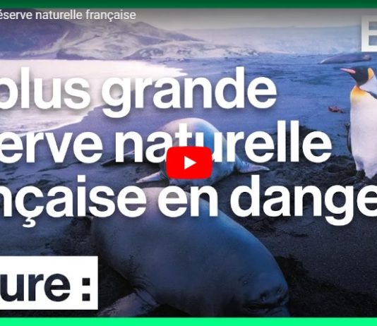 Il faut sauver la plus grande réserve naturelle française
