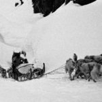 Film « Paul-Emile Victor, j’ai horreur du froid » de Stéphane Dugast