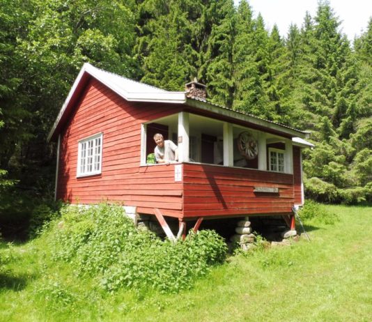 Le chemin oublié des rois vikings : Le chemin de Saint-Olav, une grande randonnée du sud au nord de la Norvège