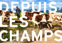 « Depuis les champs » de Thomas Baudre récompensé au Grand Bivouac 2019