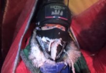 Les explorateurs Mike Horn et Borge Ousland ni en péril, ni en danger de mort sur la banquise de l’océan Arctique