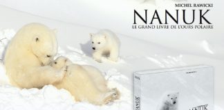 Nanuk ou Le grand livre de l’ours polaire par Michel Rawicki