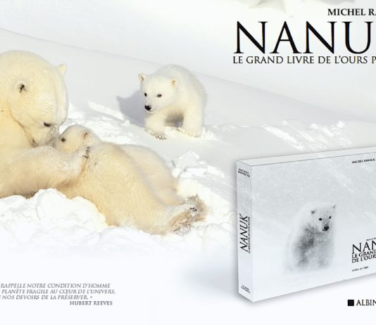 Nanuk ou Le grand livre de l’ours polaire par Michel Rawicki