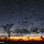 Immersion dans le Kalahari avec le français Jerry Swift