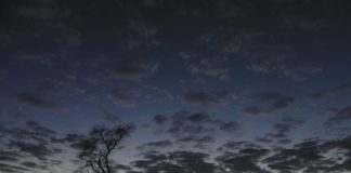 Immersion dans le Kalahari avec le français Jerry Swift