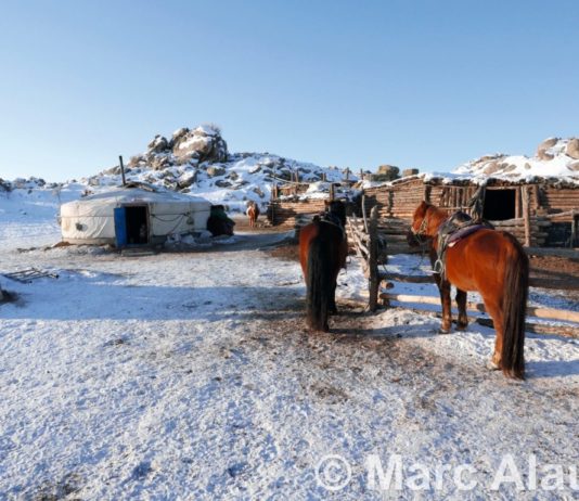 Le Prix Littéraire du Festival Terres d’Ailleurs 2019 a été attribué à …