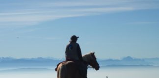 A cheval, entre filles et loups : une aventure mère-fille de 500 km en autonomie entre l’Italie et le Jura