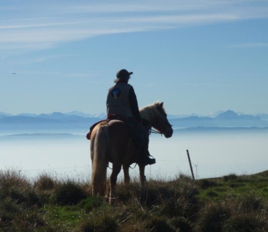 A cheval, entre filles et loups : une aventure mère-fille de 500 km en autonomie entre l’Italie et le Jura