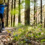Découvrez les plaisirs du VTT en pleine nature